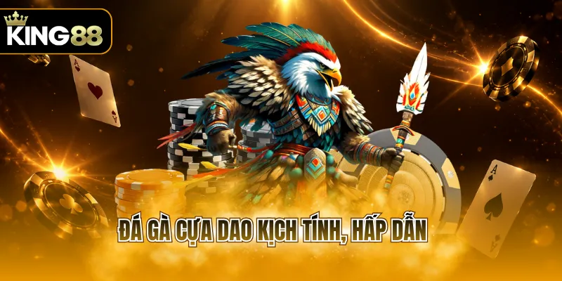 Đá gà cựa dao kịch tính, hấp dẫn